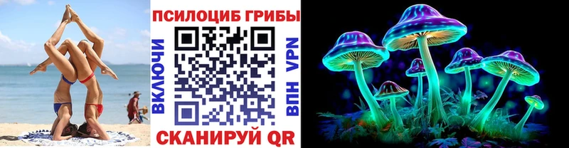 shop как зайти  Яхрома  Галлюциногенные грибы мухоморы 